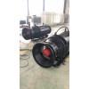 農田灌溉用700QZB-132KW潛水軸流泵移動(dòng)式安裝