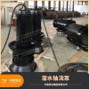 淶源縣農田灌溉用1200QZB潛水軸流泵移動(dòng)式安裝