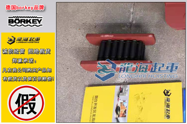 德國C系列載重滾輪搬運車(chē)圖片